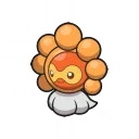 Sunny Castform